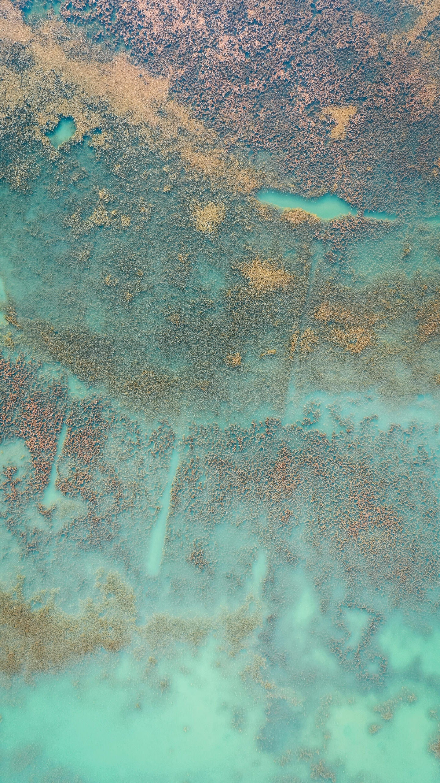 An image of a dark green and teal ocean at sunrise